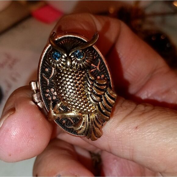 Jewelry - Owl adjustable ring with hiding spot /Bundle With 2 Other Items & It's F…
